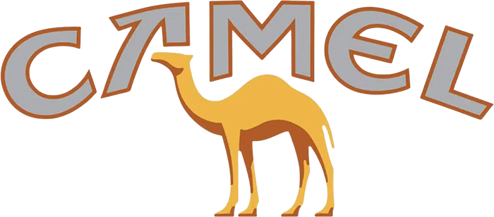 Camel